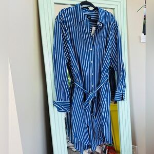 GAP Classic Blue and White Striped Button-Down Shirt Dress